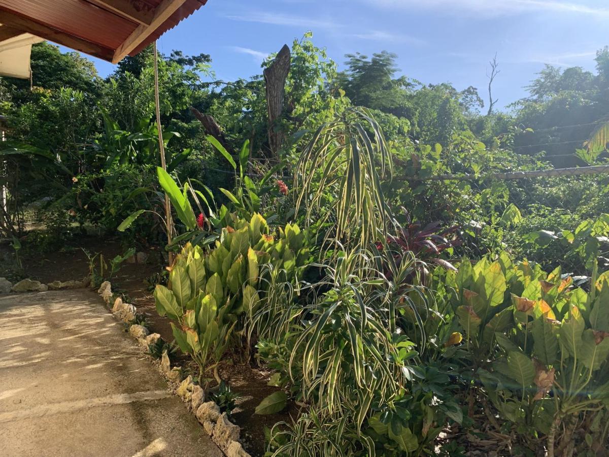 Can Jam Retreat Negril Exteriör bild