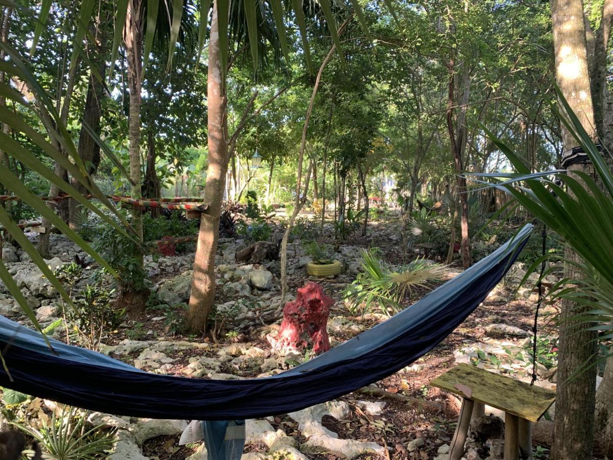 Can Jam Retreat Negril Exteriör bild